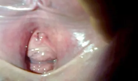 Blonde aux porn streaming vf tétons percés suce et baise tous les trous avec des noirs