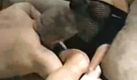 Jeune, gros seins femmes baise sur le film porno complet gratuit en francais canapé avec un jock.