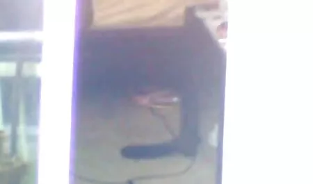 Haletant Cavalier pour une fille à la peau foncée qui obtient collant film gratuit porno francais MUNCHIES sur ses joues